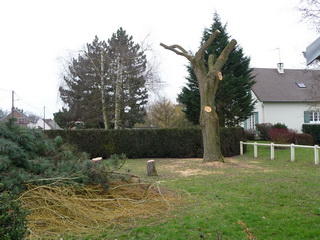 Moy de l'Aisne