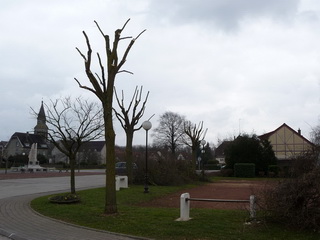 Moy de l'Aisne