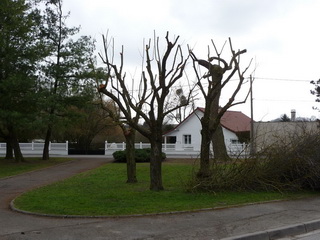 Moy de l'Aisne