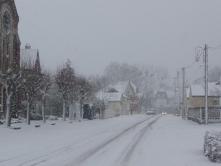 MoyQuand N25