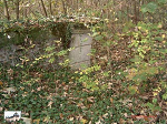 Cliquez ici pour voir l'image (V009.jpg)