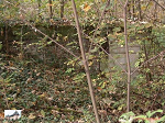 Cliquez ici pour voir l'image (V010.jpg)
