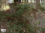 Cliquez ici pour voir l'image (V015.jpg)