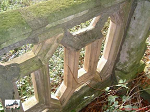 Cliquez ici pour voir l'image (b003.jpg)