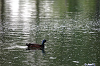 Cliquez ici pour voir l'image (Jose600-08.jpg)