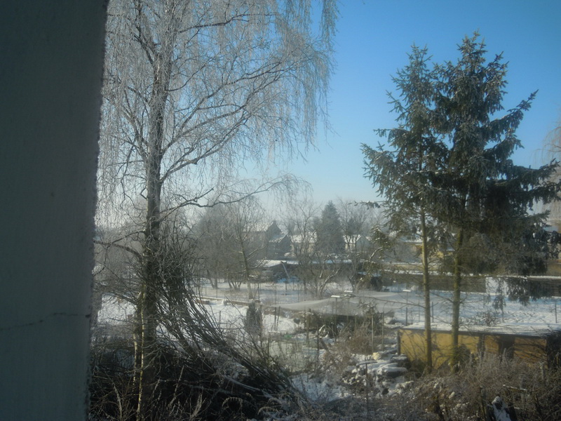 Hiver-Andre-2
