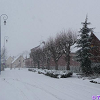 Cliquez ici pour voir l'image (TK-02-07.JPG)